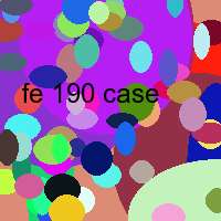 fe 190 case