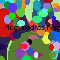 flug piedras negras